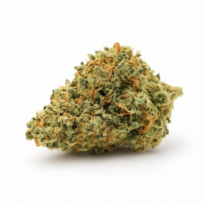 SMALL BUD
